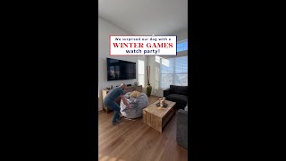 POV: You think it’s a normal night on the couch.Then your humans build a Winter Games