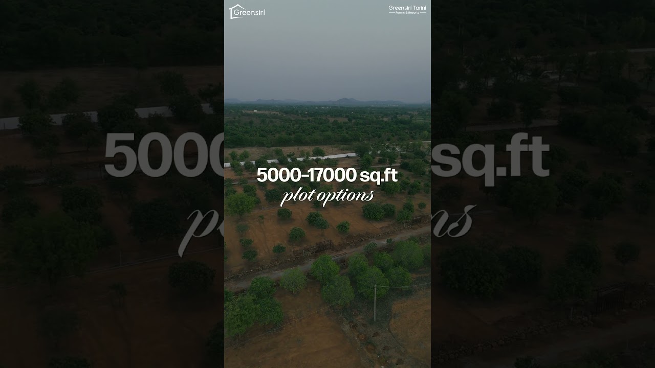 Weekend vibes, every day of the week