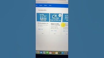 2025 Best web-based tool for data visualization