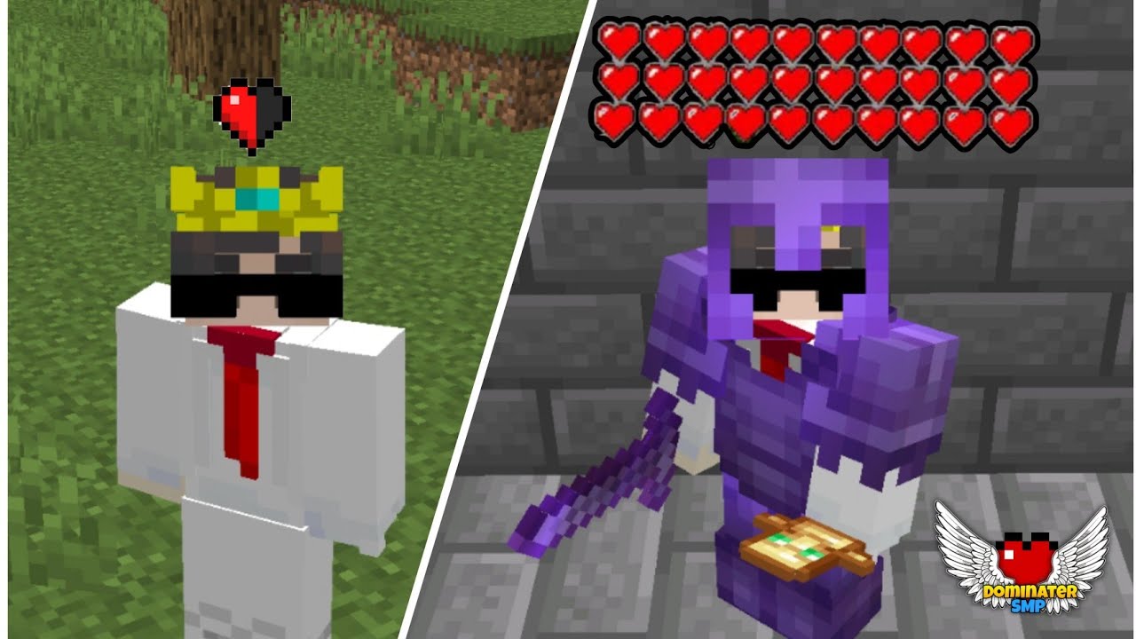 HOW I BECAME MOST POWERFUL PLAYER IN THIS LIFESTEAL SMP | Could i take ...