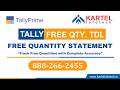 Free Quantity System in Tally Prime | TDL Customization | Manage Free Quantity | Tally Prime TDL