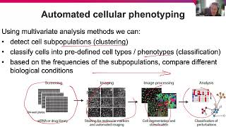 Bioimage Analysis I1 Fly embryo analysis 6
