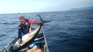 MENANGKAP IKAN TUNA SIRIP KUNING, yellowfin tuna