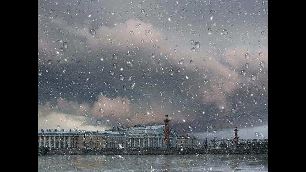 Дождливая зима в Петербурге