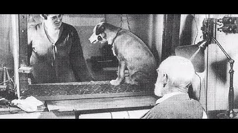 Theories of learning and behavior modification