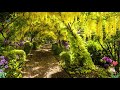Весна Волшебная Аллея Сказочный Футаж для Ваших Видео / Spring Magic Alley Fabulous Footage