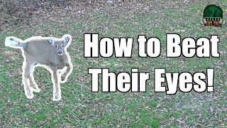 Deer Vision Secrets: How to Fool a Deer's Eyes After Being Seen (Real Hunt Example) by Weekend Woodsmen 373,125 views 8 months ago 5 minutes, 34 seconds