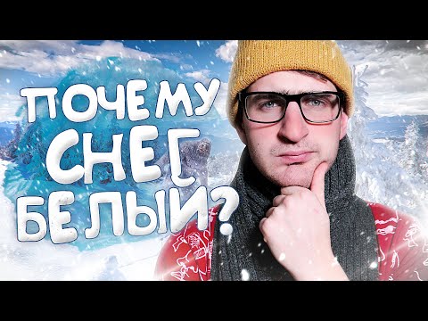 [Спроси Ученого] Почему снег белый? Спят ли белые медведи?