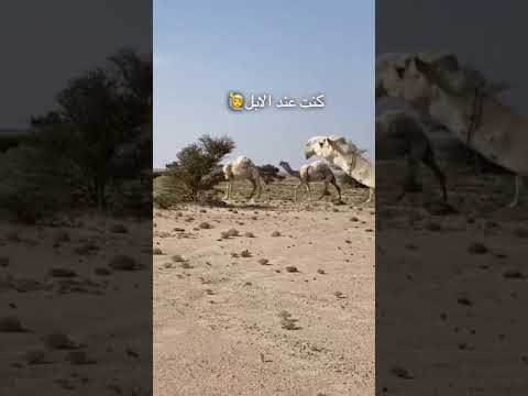 كنت فين لما زمان احتجت لك