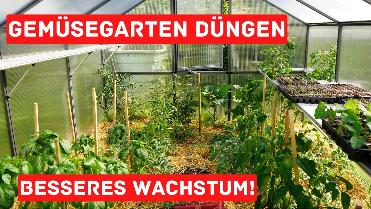 öl als dünger Green Home BIO Cannabis Dünger All in One main image 1