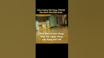 Triều Cường Tấn Công, TP.HCM Oằn Mình Giữa Biển Nước: Khu dân cư, Nhà cửa Ngập nặng#trieucuong#tphcm