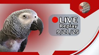 Sunday with Einstein 9/21/25