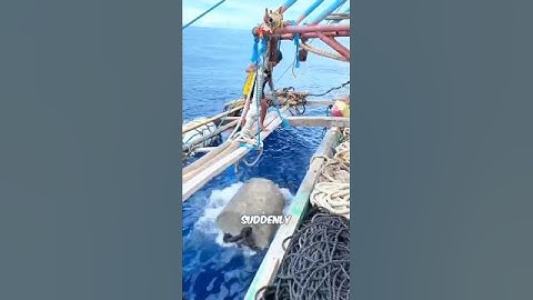 "How Ships Pull Anchors! 🌊🚢"