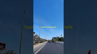 Emre Aydin Afili Yalnızlık Resimi