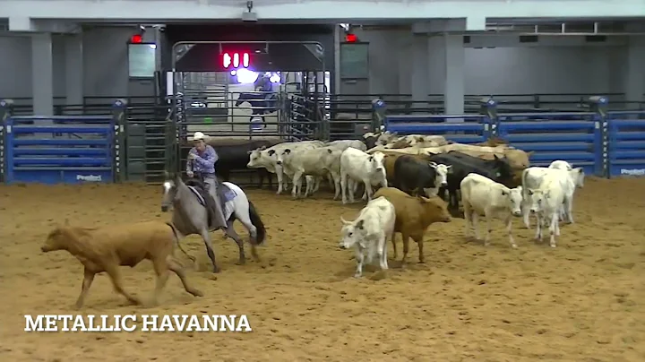ASWCHA- Belton, TX- 7/10/22- Janet Bowen- METALLIC...