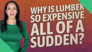 Why is lumber so expensive all of a sudden?