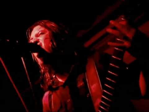 Web Of Bifurcations Video