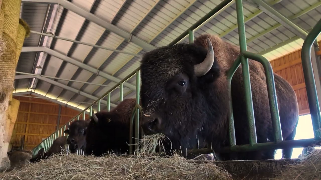 Hofladenöffnung August 2025