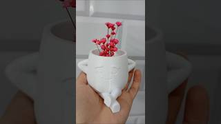 #motivação #reflexão #fé #plantas #orquidias #flores #suculentas #jardim