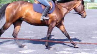 Flatwork