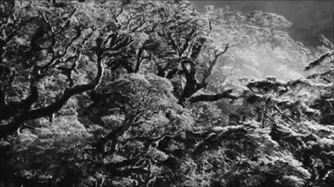 Rapture - While the World Sleeps