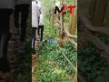 Wedding Drama In Kisii Bobasi As The Groom Runs Aways From The Altar Leaving The Bride Alone Wedding Drama In Kisii Bobasi As The Groom Runs Aways From The Altar Leaving The Bride Alone