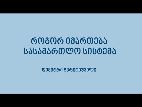 როგორ იმართება სასამართლო, დიმიტრი გვრიტიშვილი