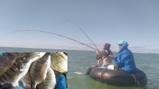 شاهد كيف يتم صيد الأسماك بالبيلوطة فوق العجلة المطاطية (شمبرير) مع الرايس فتاح وعزيز fish fishing