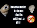 How to make a hole on shells without drill || without any tool