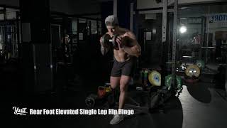 Rear Foot Elevated Single Leg Hip Hinge