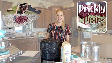 How to Make and Preserve Prickly Pear Syrup