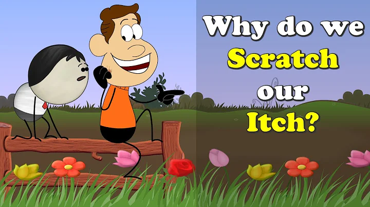 Why do we Scratch our Itch? + more videos | #aumsum #kids #science #education #children - DayDayNews