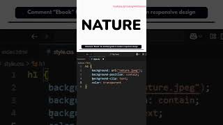 html tutorial for beginners | CSS | html full course | css full course | web development full course
