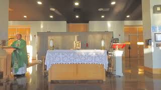 Friday of the Third Week in Ordinary Time St Bernards Tracy CA