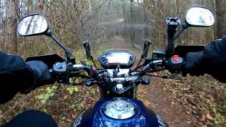 Легкое эндуро по лесу вдоль реки на простом мотоцикле Минск д4 125. Minsk d4 125. Вторая часть