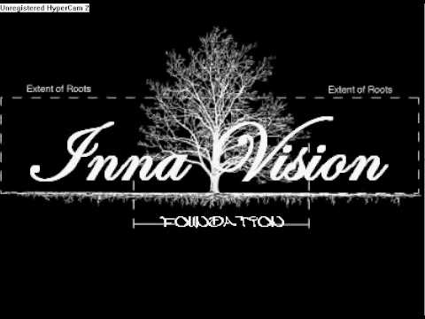 Inna Vision - Irie Insulation