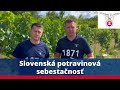 Slovenská potravinová sebestačnosť