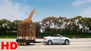 The Hangover Part Iii - Alans Freeway Mess.