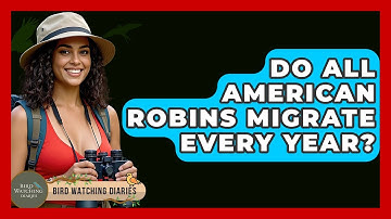 Do All American Robins Migrate Every Year? - Bird Watching Diaries
