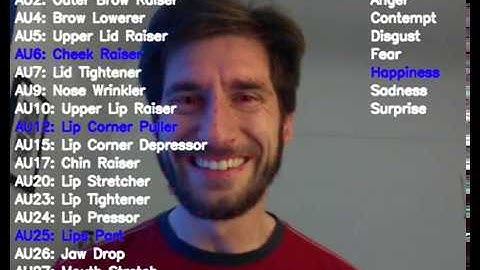 Machine Learning for Facial Action Units and Basic Emotions