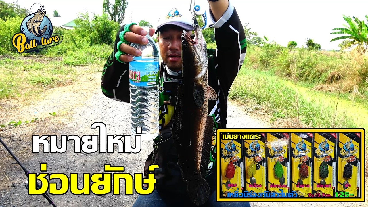 #เปิดหมายใหม่เจอช่อนยักษ์