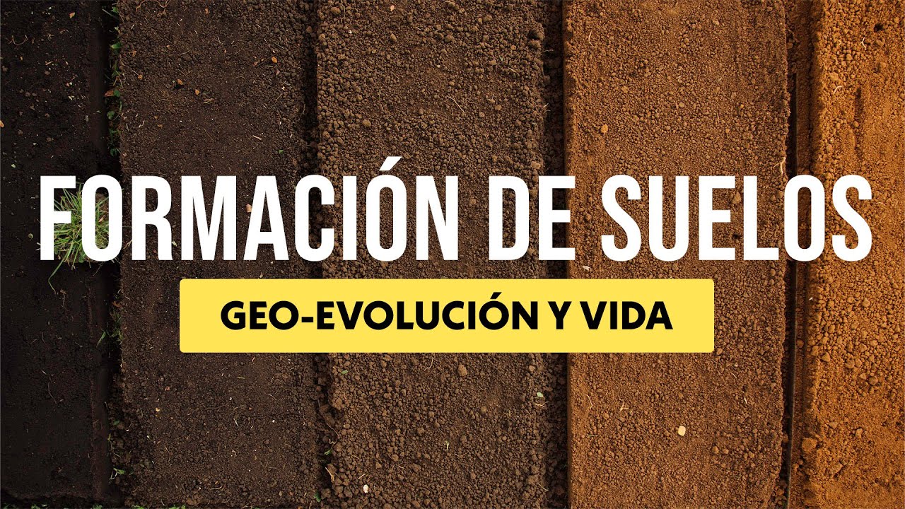FORMACIÓN DE SUELOS Pt. 1 🌿 (Geo-evolución y vida) | Jairo Restrepo Rivera 🐮🥬