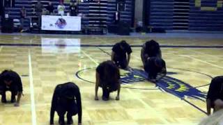 VID-20111029-00002