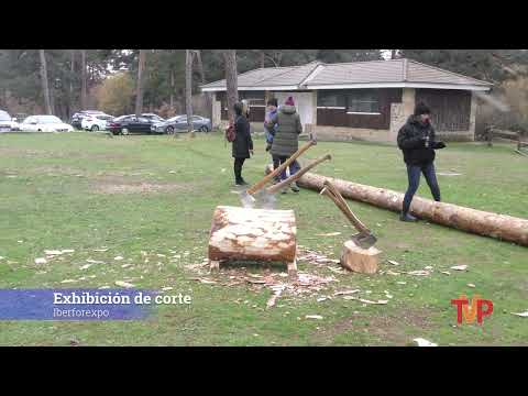 Iberforexpo 2022. Demostración de trabajos del monte