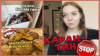 Карантин в Москве, последние НОВОСТИ  ? Чем заняться на карантине + Рецепт морковного печенья ? ВЛОГ
