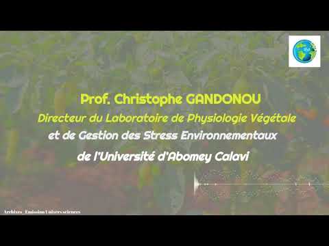 Vidéo: Qu'est-ce que la variation chez les plantes?