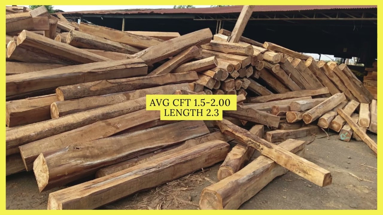 Premium Nigerian Teak Logs are Here! ✨ 