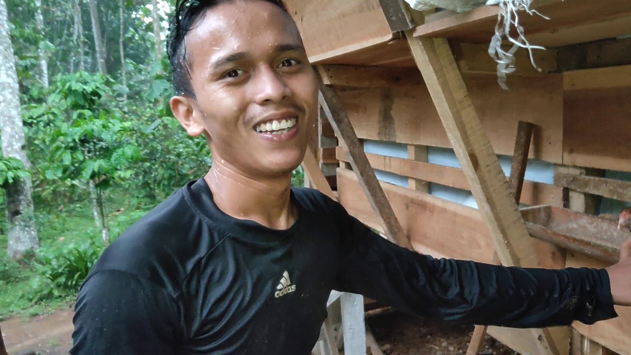 Cara Sukses Budidaya Ayam Kampung Hasilkan Uang Ratusan Juta 