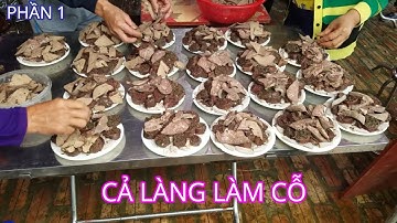 Toàn cảnh nông dân làm cỗ áp rạp đám cưới ở quê lúa Thái bình p1