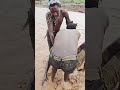 This joy and the murder of friendshipयह खुशी और दोस्ती की हत्या#africa #